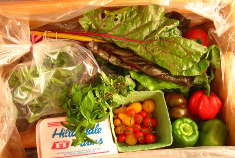 Fresh produce from a local CSA